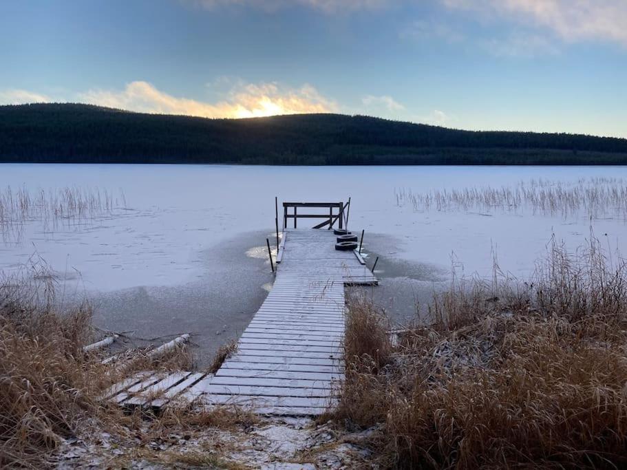 Lakeside Wilderness Cabin يوكموك المظهر الخارجي الصورة