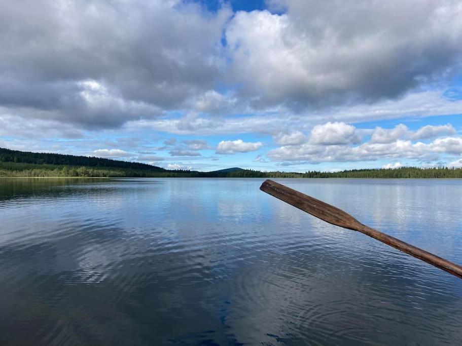 Lakeside Wilderness Cabin يوكموك المظهر الخارجي الصورة