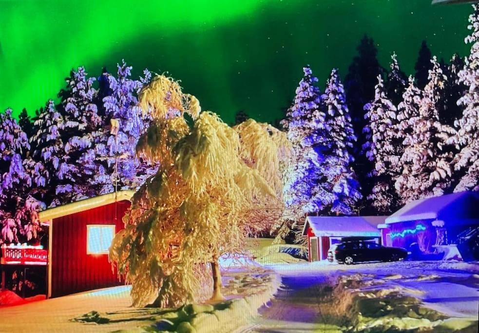 Lakeside Wilderness Cabin يوكموك المظهر الخارجي الصورة