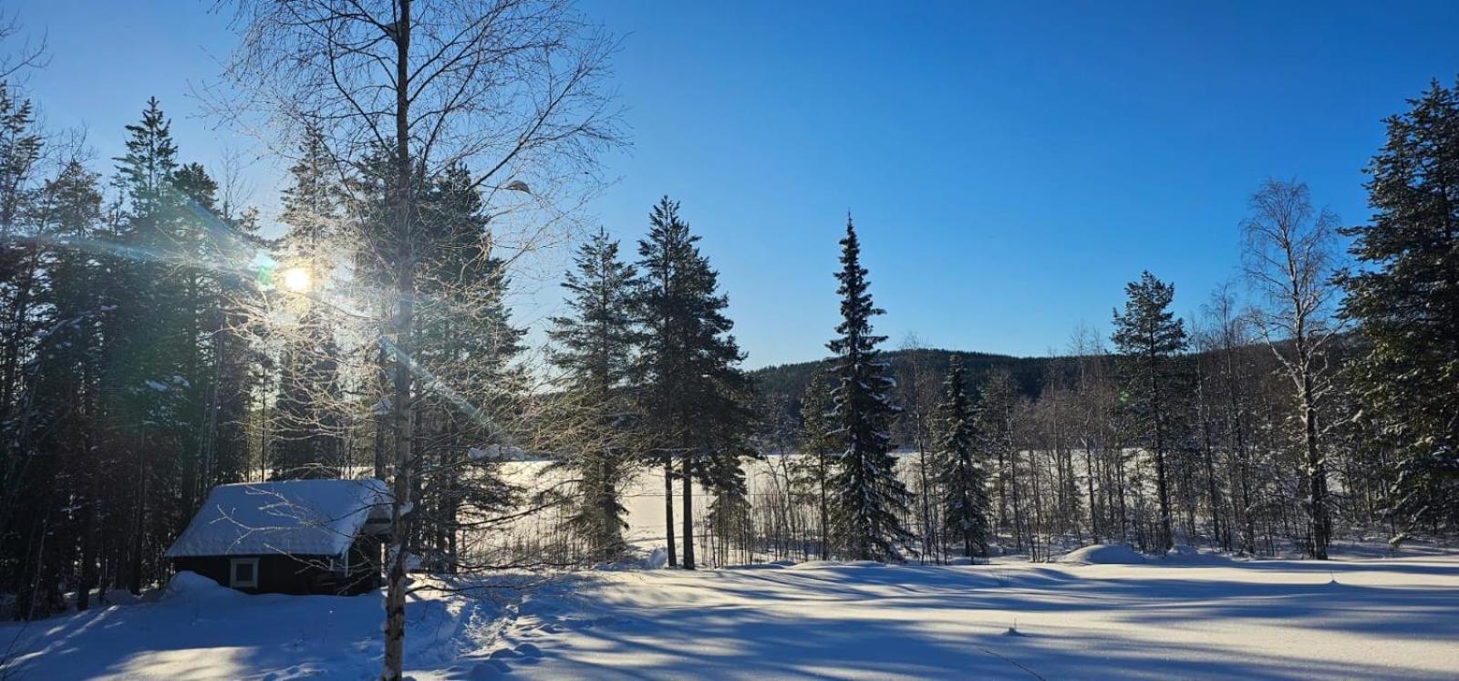 Lakeside Wilderness Cabin يوكموك المظهر الخارجي الصورة