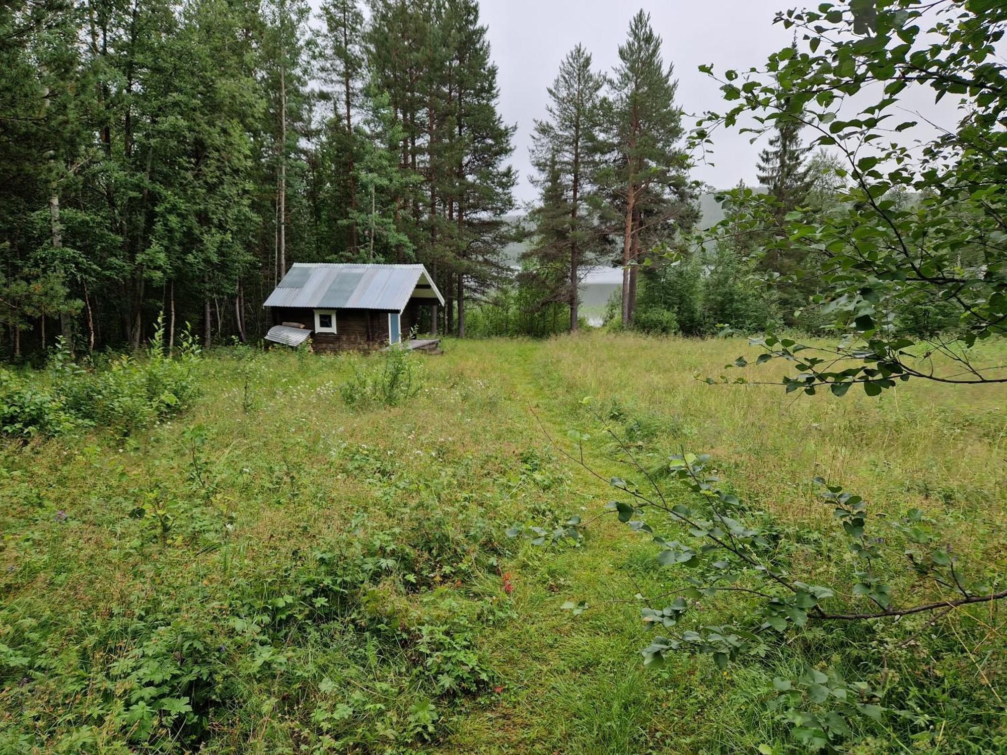 Lakeside Wilderness Cabin يوكموك المظهر الخارجي الصورة
