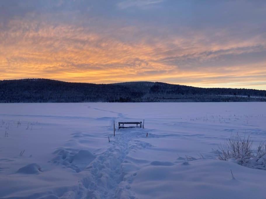 Lakeside Wilderness Cabin يوكموك المظهر الخارجي الصورة