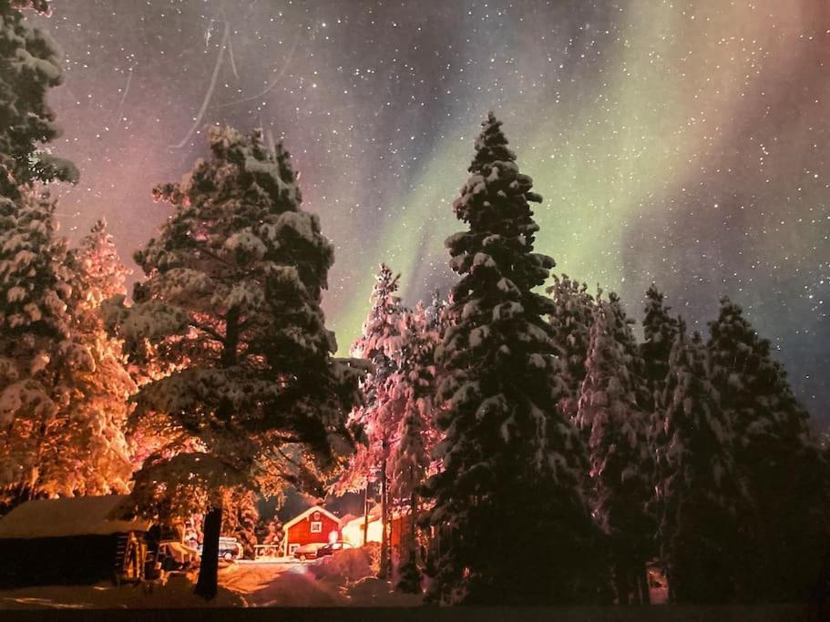 Lakeside Wilderness Cabin يوكموك المظهر الخارجي الصورة