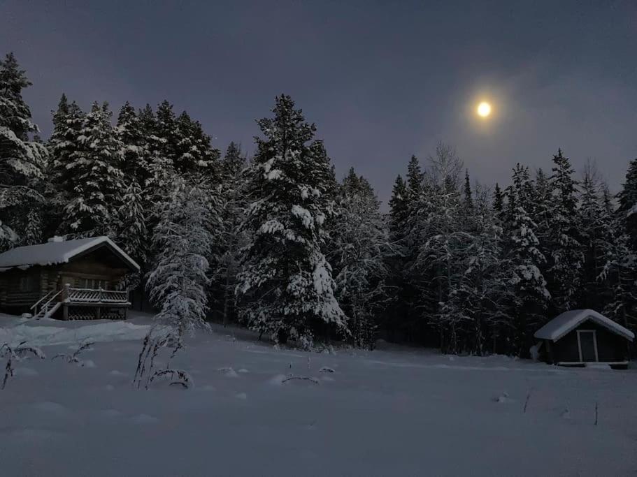 Lakeside Wilderness Cabin يوكموك المظهر الخارجي الصورة