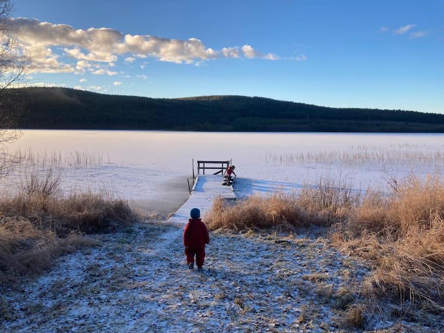 Lakeside Wilderness Cabin يوكموك المظهر الخارجي الصورة
