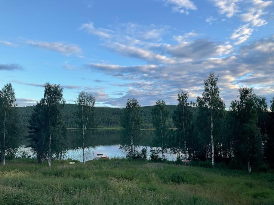 Lakeside Wilderness Cabin يوكموك المظهر الخارجي الصورة