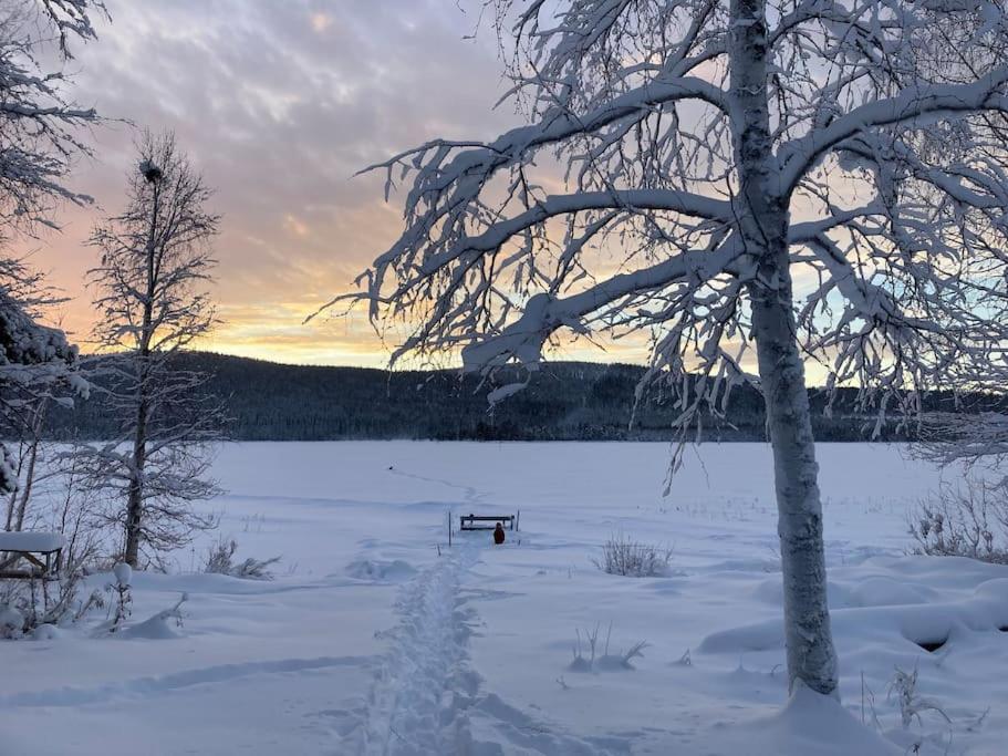 Lakeside Wilderness Cabin يوكموك المظهر الخارجي الصورة