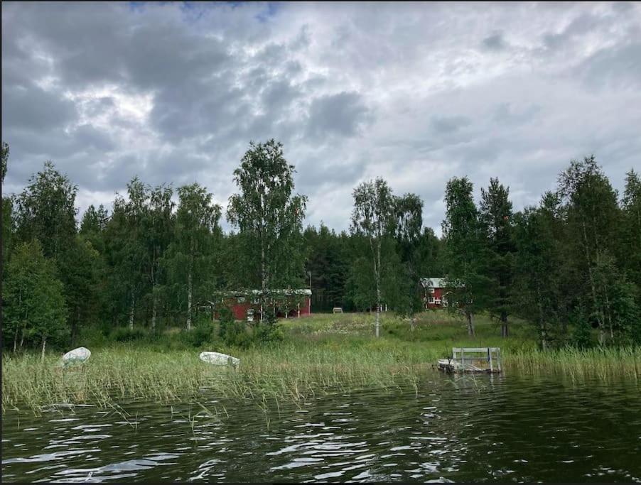 Lakeside Wilderness Cabin يوكموك المظهر الخارجي الصورة