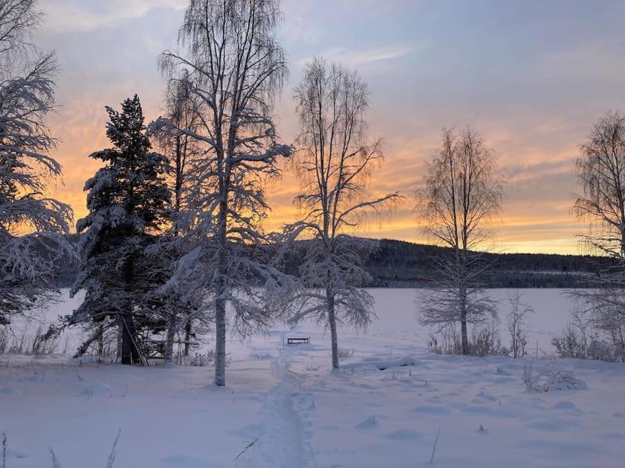Lakeside Wilderness Cabin يوكموك المظهر الخارجي الصورة
