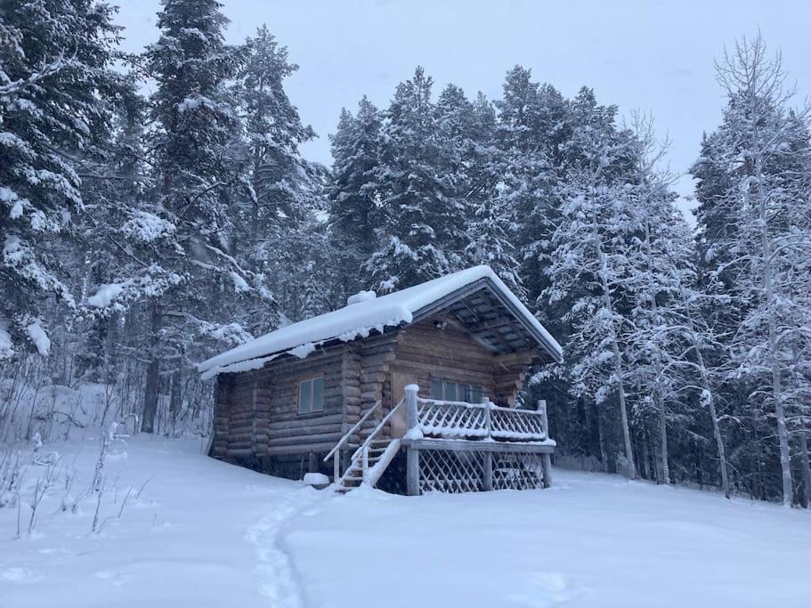 Lakeside Wilderness Cabin يوكموك المظهر الخارجي الصورة