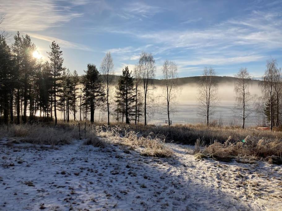 Lakeside Wilderness Cabin يوكموك المظهر الخارجي الصورة