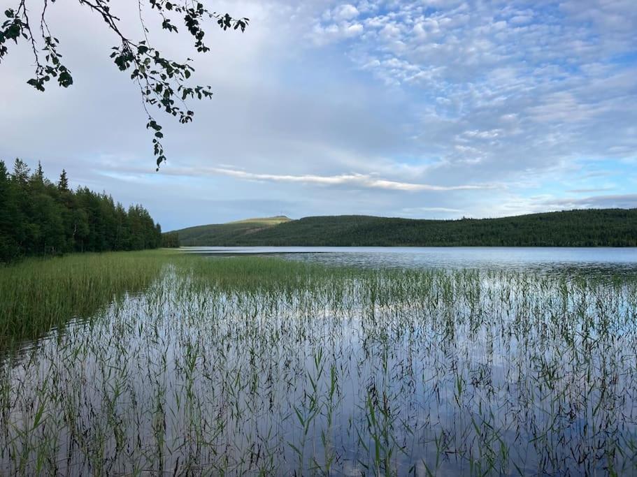 Lakeside Wilderness Cabin يوكموك المظهر الخارجي الصورة
