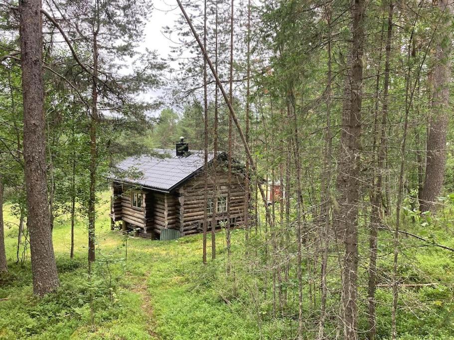 Lakeside Wilderness Cabin يوكموك المظهر الخارجي الصورة