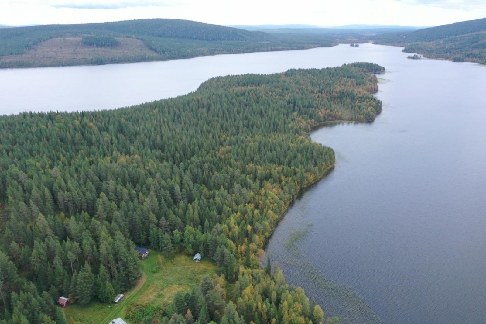 Lakeside Wilderness Cabin يوكموك المظهر الخارجي الصورة